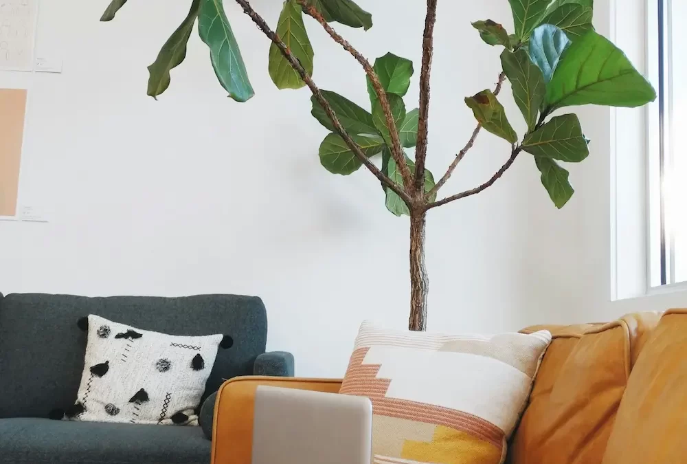 What is EMDR? How Eye Movement Desensitization and Reprocessing Can Help Heal Trauma and Stress